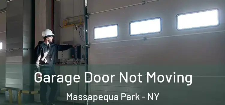  Garage Door Not Moving Massapequa Park - NY
